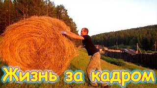 Семья Бровченко. Жизнь за кадром. Обычные будни. (часть 129) (06.17г.)
