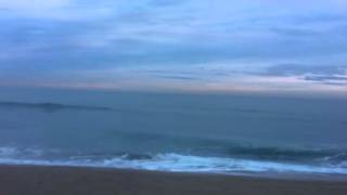 IMG 0957