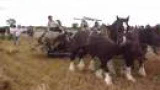 Suncroft Harvest Rally 2007 2 Horse Drawn Binder