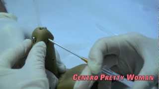Piercing Príncipe Alberto (Prince Albert Piercing)