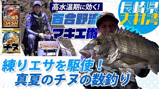 練りエサを駆使して、真夏のチヌの数釣り～長崎県大村湾