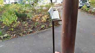 ЗАПОРОЖЬЕ НИЧЕГО СЕБЕ ТАК И ЖИВЕМ!!! 26.10.23