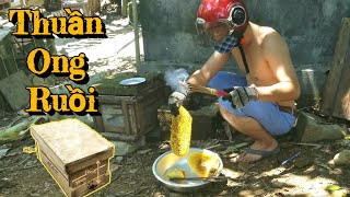 Cách tự đóng thùng nuôi ong, bắt tổ ong ruồi lâu năm | QUANG BÌNH OFFICIAL