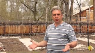 Мастер-класс по посадке винограда. Отрывок.