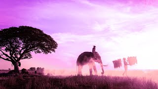 Positive Aura Cleanse | 432Hz Relaxing | Deep Chakra Meditation | Healing Miracle Music