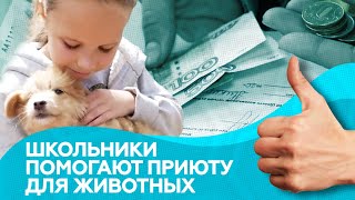«Думать не только о себе»: школьники помогают приюту для животных на деньги от сдачи макулатуры