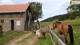 Wandern mit Genuss: vom Tête de Ran zum L'Aubier
