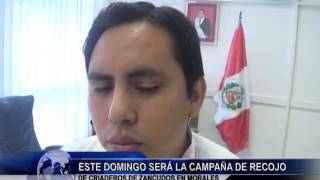 ESTE DOMINGO SERÁ LA CAMPAÑA DE RECOJO DE CRIADEROS DE ZANCUDOS EN MORALES