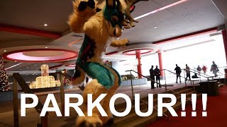 EXTREME FURSUIT PARKOUR MFF 2017!!!