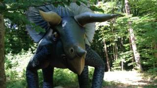 Triceratops (Трицератопс) - Динозавр Носорог