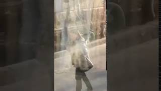В Череповце мальчик бросил кирпич в лицо женщине