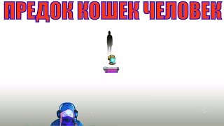 ? 4К | Cat Quest #6 | Предок кошек человек | Прохождение с DevJon