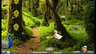 National Reserve Forest Escape walkthrough Games2Rule.