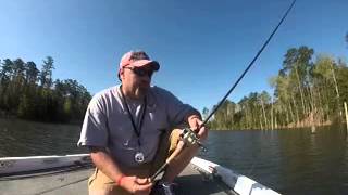 Kistler Rods