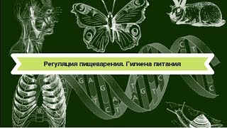 Биология 8 класс $28 Регуляция пищеварения  Гигиена питания