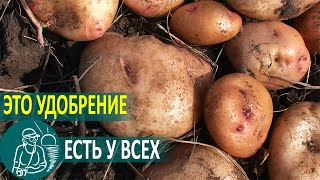Посадка картофеля с мусором под окучивание ???? Выращивание по технологии Гордеевых