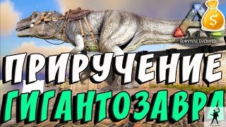 ARK SURVIVAL EVOLVED | ПРИРУЧЕНИЕ ГИГАНТОЗАВРА | АРК СУРВАЙВЛ ЭВОЛВ 2 СЕЗОН | ARK FEODAL S02E11