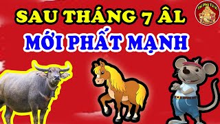 Thầy Tiên Tri Chỉ Thẳng Mặt 3 Con Giáp May Mắn Nhất Sau Tháng 7 ÂL Cuối Năm Cực Giàu
