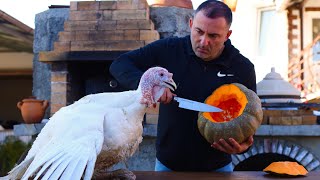 МЯСО в ТЫКВЕ. ИНДЕЙКА ЗАПЕЧЁННАЯ в ТЫКВЕ. ENG SUB