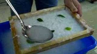 Demo - 4th Grade Paper Making