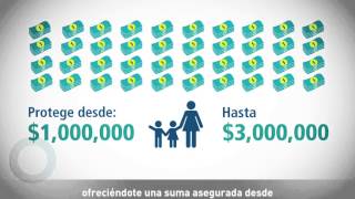 Seguro de Vida Individual
