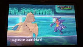 dragonite con seguro debilidad enfadado