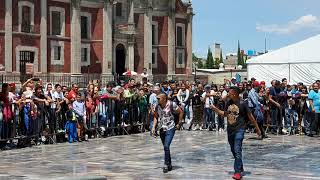 Asi se vivio la pregrinación de AAA a la Basilica de Guadalupe rumbo a Triplemania.