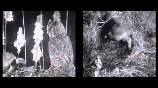 Tusmørke - Singers and Swallows