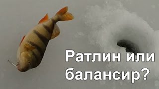 Раттлин или балансир? Ловля щуки и окуня зимой со льда.