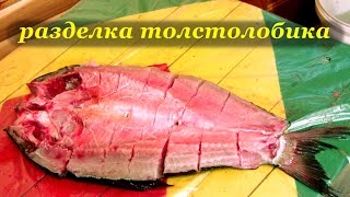 Разделка толстолобика для копчения