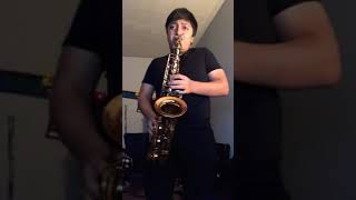 Fortnite- Phone It In Saxophone Cover
