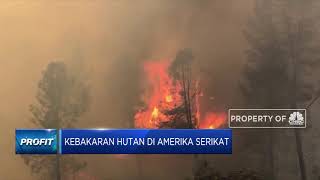 Kobaran Api Terus Melanda Lake County di California AS