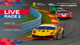 Ferrari Challenge North America - Watkins Glen International, Trofeo Pirelli Race 1
