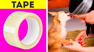Genius Hacks And Gadgets For Your Pets And Lovely Animals