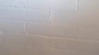 ? Asbestos ?