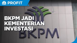 Urgensi BKPM Jadi Kementerian Investasi, Ini Kata Pengamat