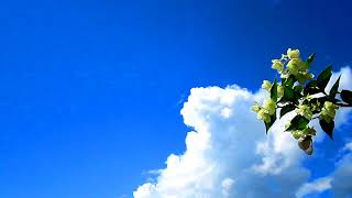 Sky Footage | Небо Футаж