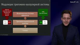 Пономарев Т.Д. - Цикл научных докладов - 1. Физиология мигрени