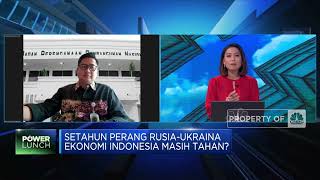 Setahun Perang Rusia-Ukraina, Pemerintah RI Khawatirkan Hal Ini
