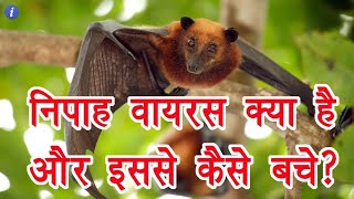 NIPAH virus kerala | NIPAH virus symptoms in hindi | NIPAH virus tamil