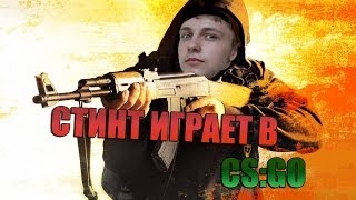 СТИНТ ИГРАЕТ В CS:GO
