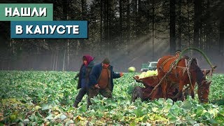 Фермер раздал сельчанам свой урожай бесплатно! История о хороших людях