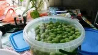 OLIVAS CASERAS (LA RECETA)