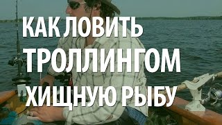 ОСЕННЯЯ РЫБАЛКА на ТРОЛЛИНГ. ЛОВЛЯ ТРОЛЛИНГОМ СУДАКА и ЩУКИ