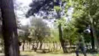 Azerbaijan traceres