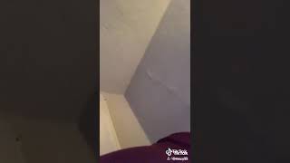 Girl farts compilation (TikTok)