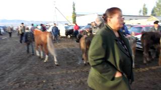 Sunday market in Kyrgyzstan