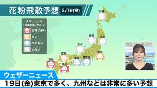 2月19日(金)の花粉飛散予想／東京で多く、九州などは非常に多い予想