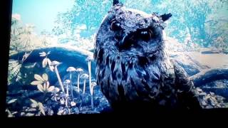 Проходим игру FAR CRY PRIMAL часть 4.Сова
