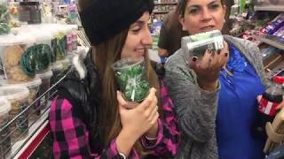 Amsterdam travel Прогулки по Амстердаму
